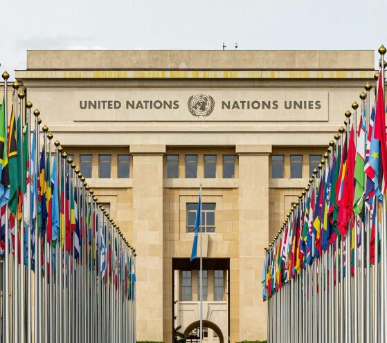 Understanding the UN Achievements, Criticism, and the Road Ahead